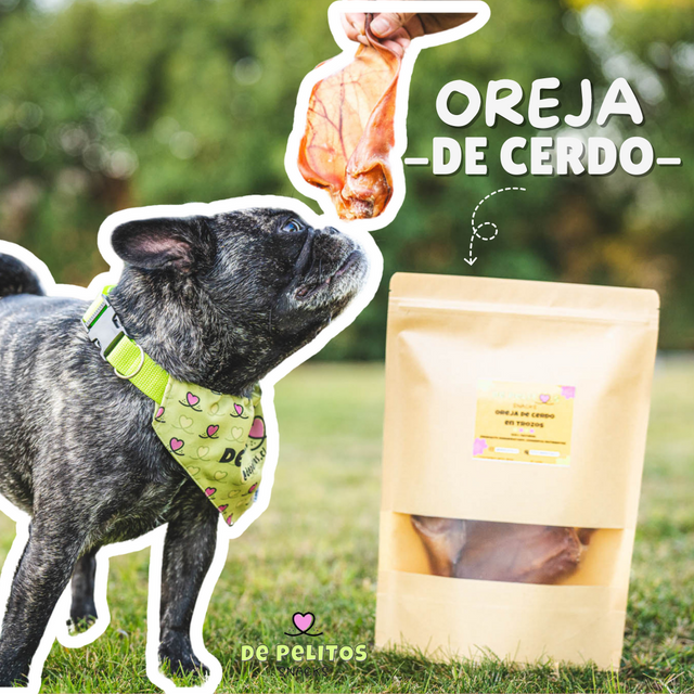 Snacks para mascotas – De Pelitos