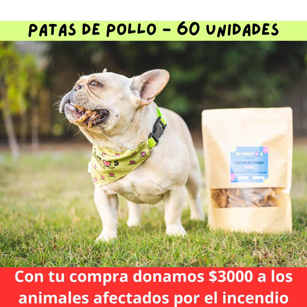 Patas de pollo  - Pack 60 unidades