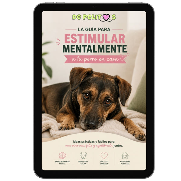 PDF Guía de Estimulación Mental